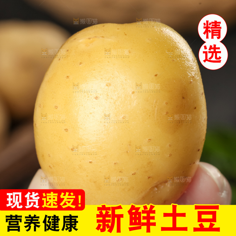 手里拿着小土豆