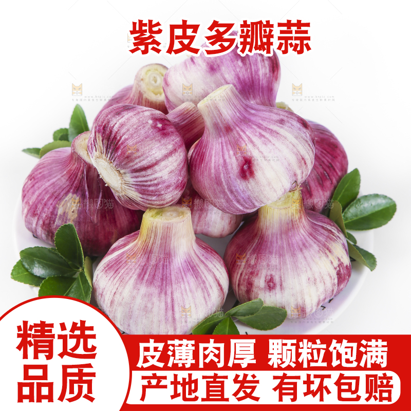 盘子里装着云南紫皮蒜