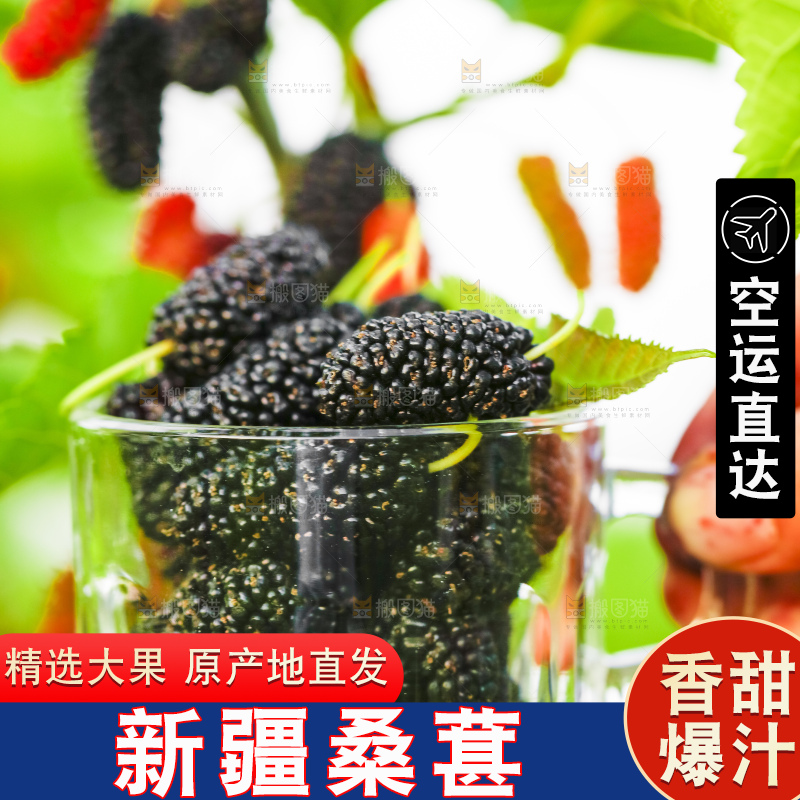 杯子里装着桑葚