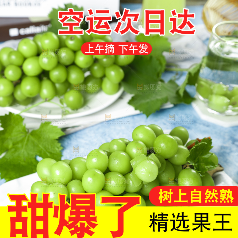 浅底上摆放着阳光玫瑰青提
