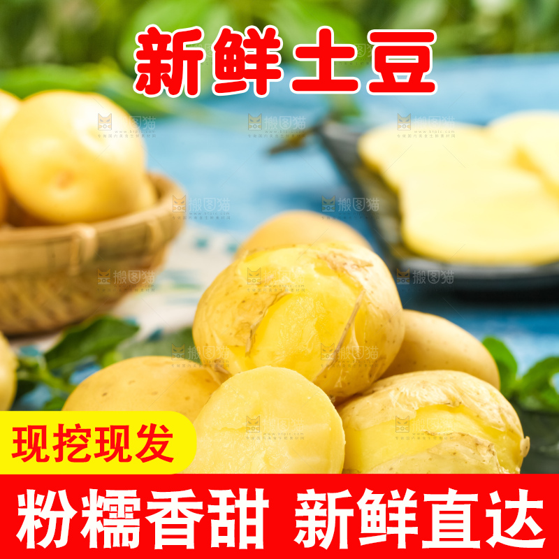 黑石板上的小土豆