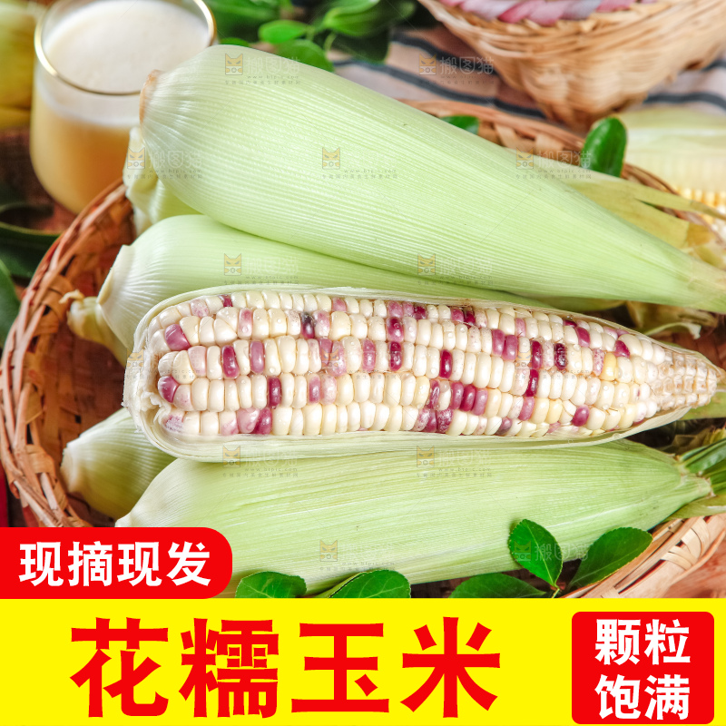 竹篮里面放着花糯玉米