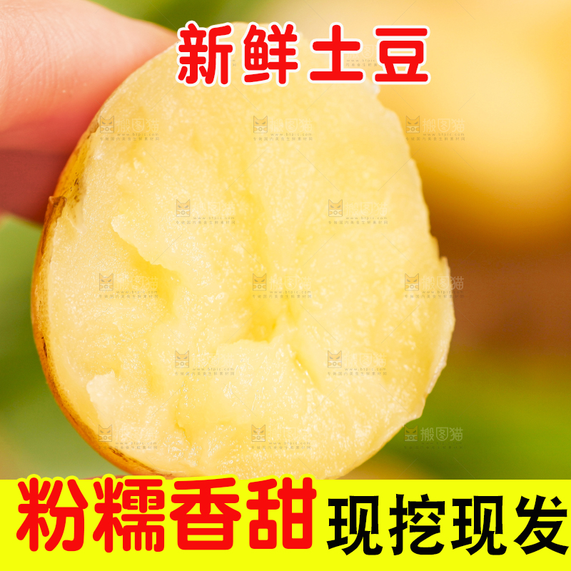 手里拿着云南小土豆