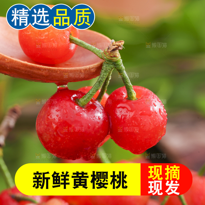 勺子里装着水晶樱桃