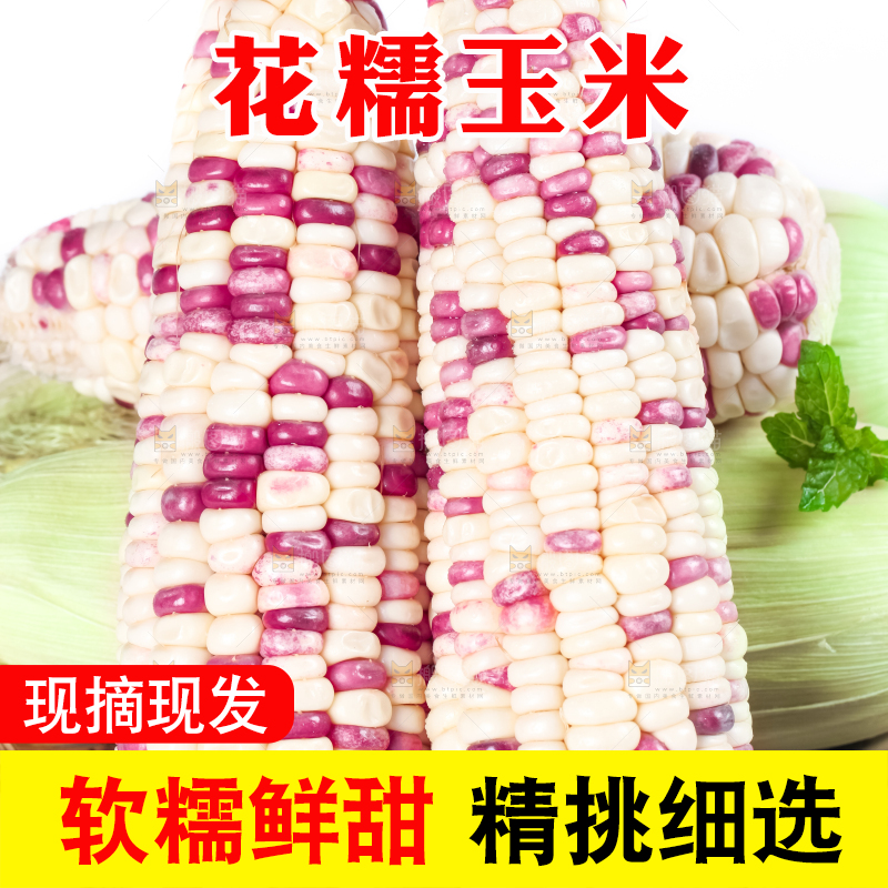 竹篮里放着花糯玉米