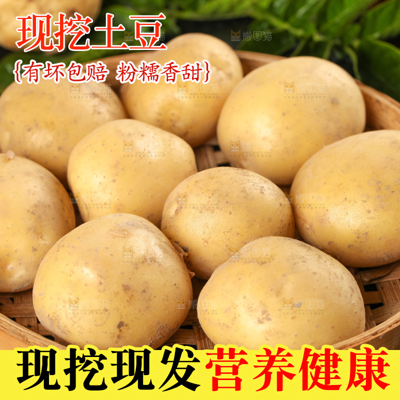 竹篮里装着小土豆