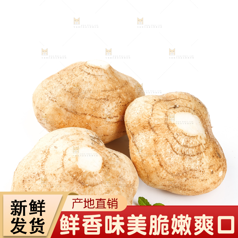 白底上的凉薯