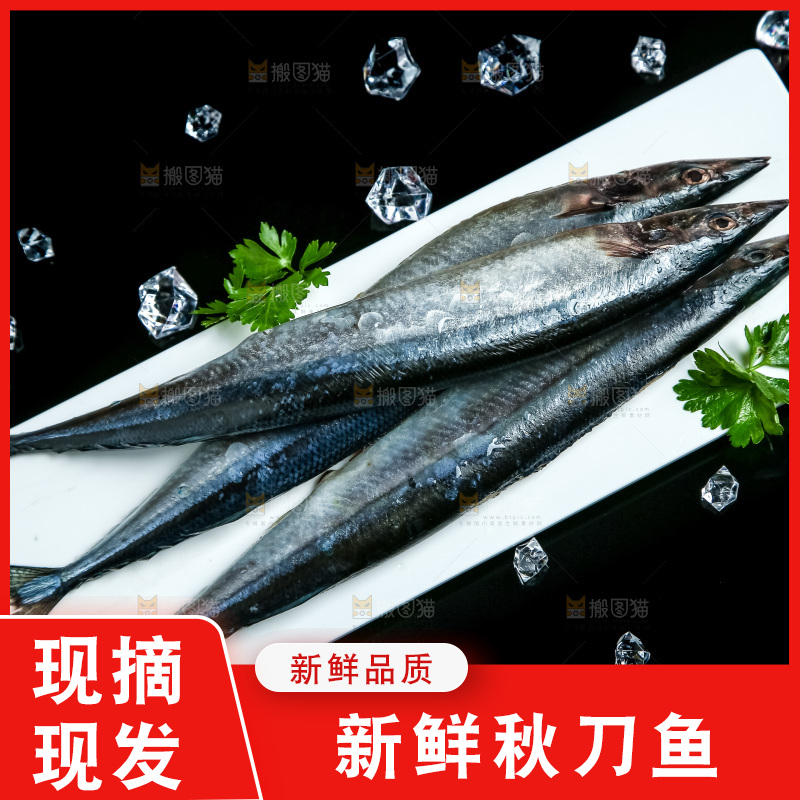 黑底上放着一盘秋刀鱼