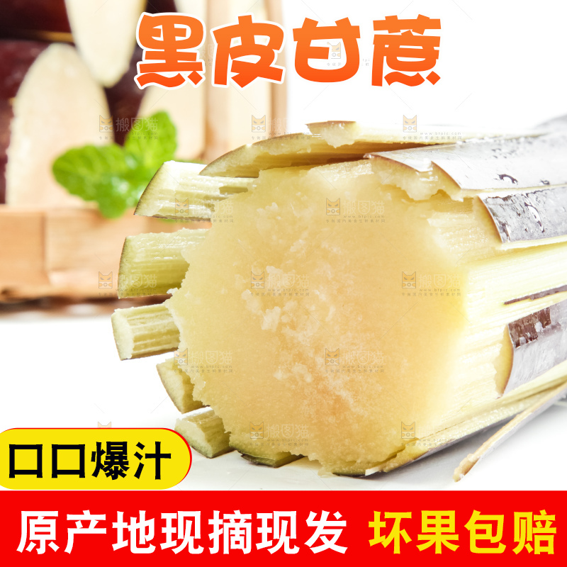 白底上放着甘蔗