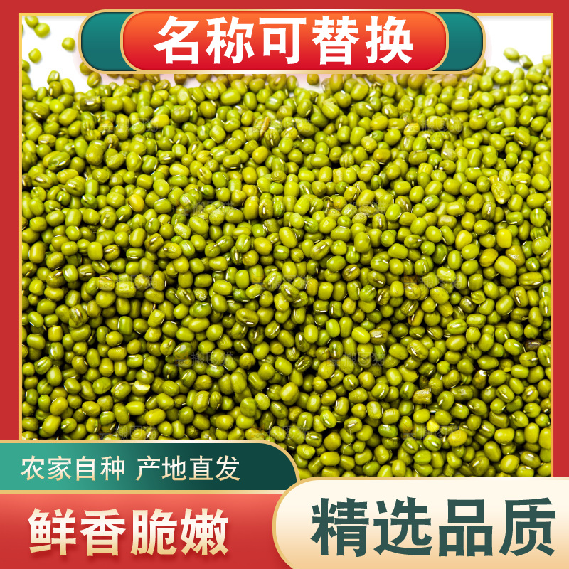 新鲜绿豆放在白底上