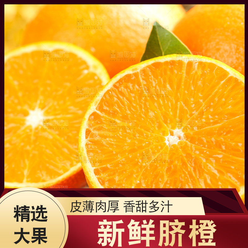 叶子上的新鲜脐橙