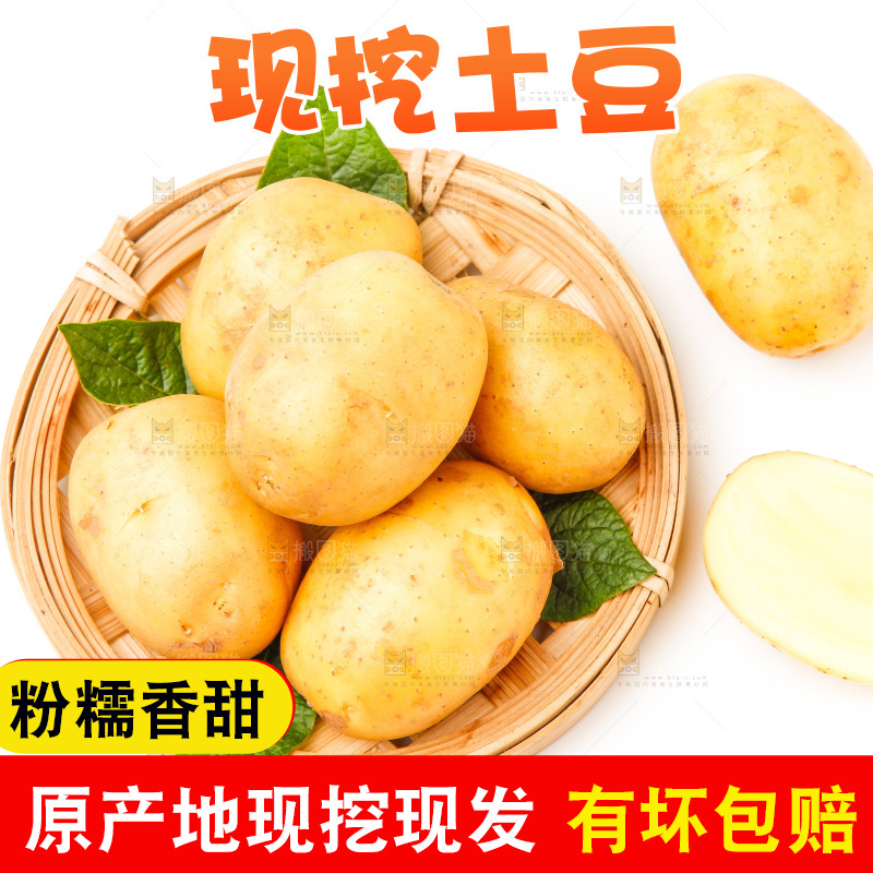 一盘新鲜土豆放在白底上
