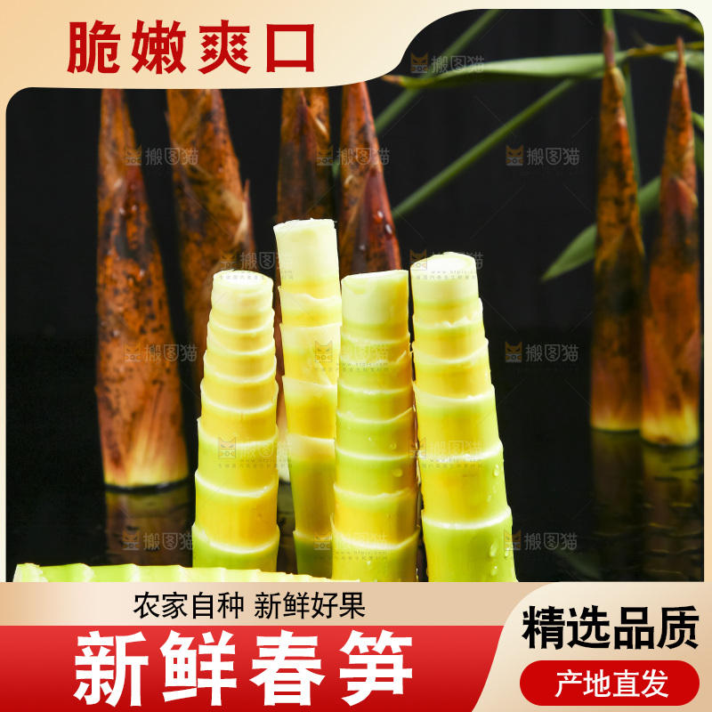 黑底上放着临安春笋