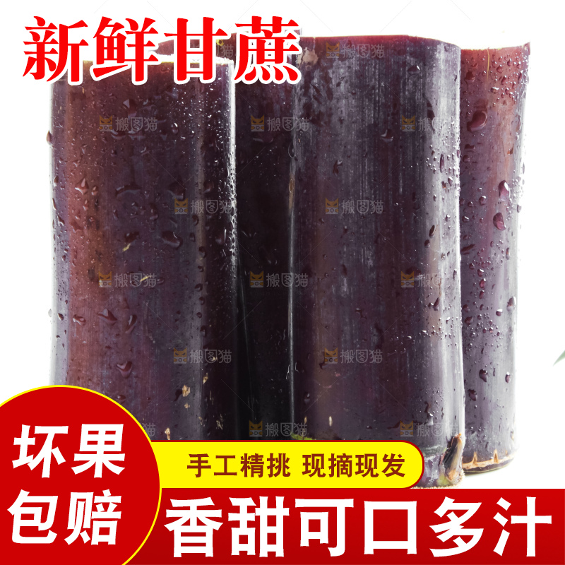 白底上放着甘蔗