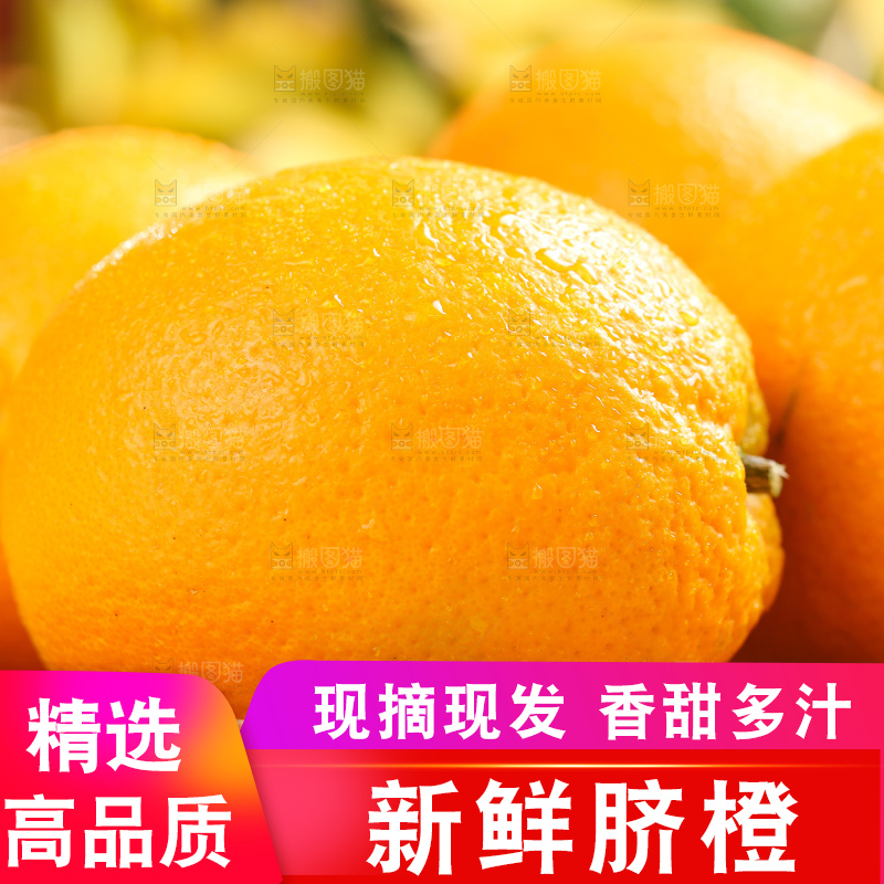 叶子上的新鲜脐橙