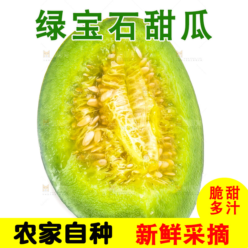 白底上放着山东绿宝甜瓜