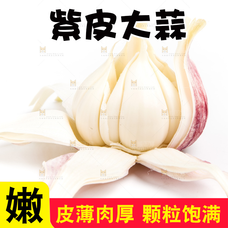 白底上的大蒜
