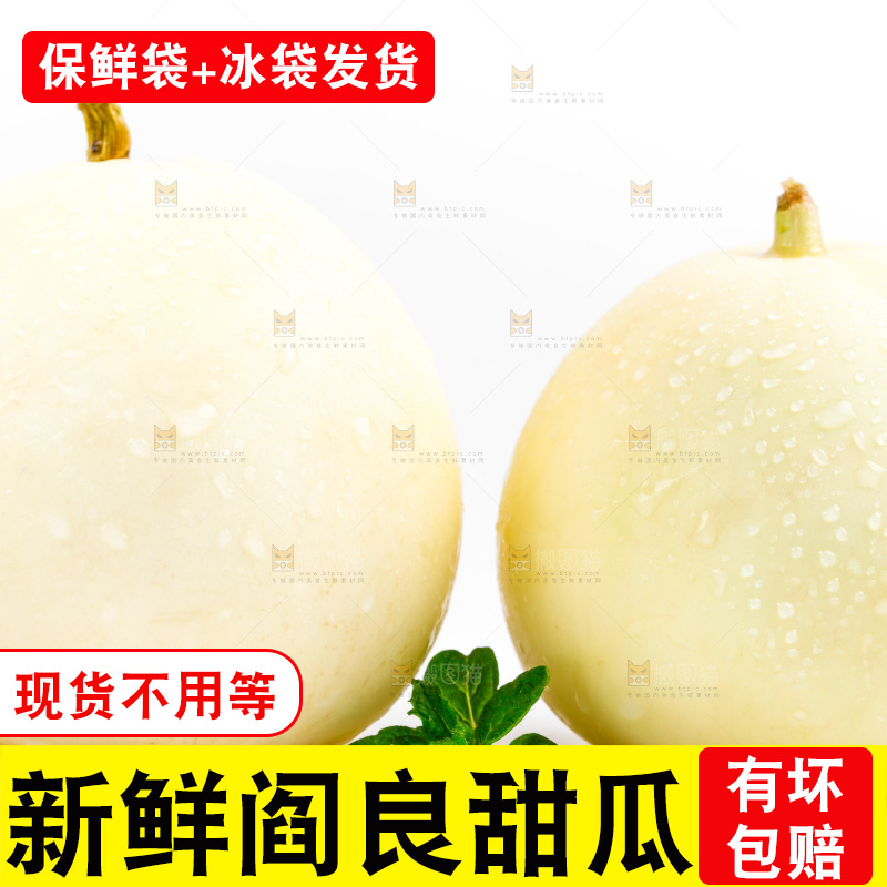 白底上的阎良甜瓜