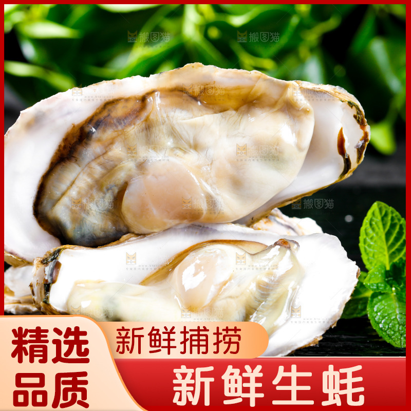 深底上放着牡蛎