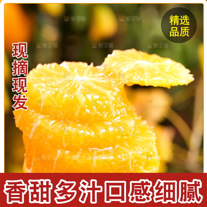 叶子上的新鲜脐橙
