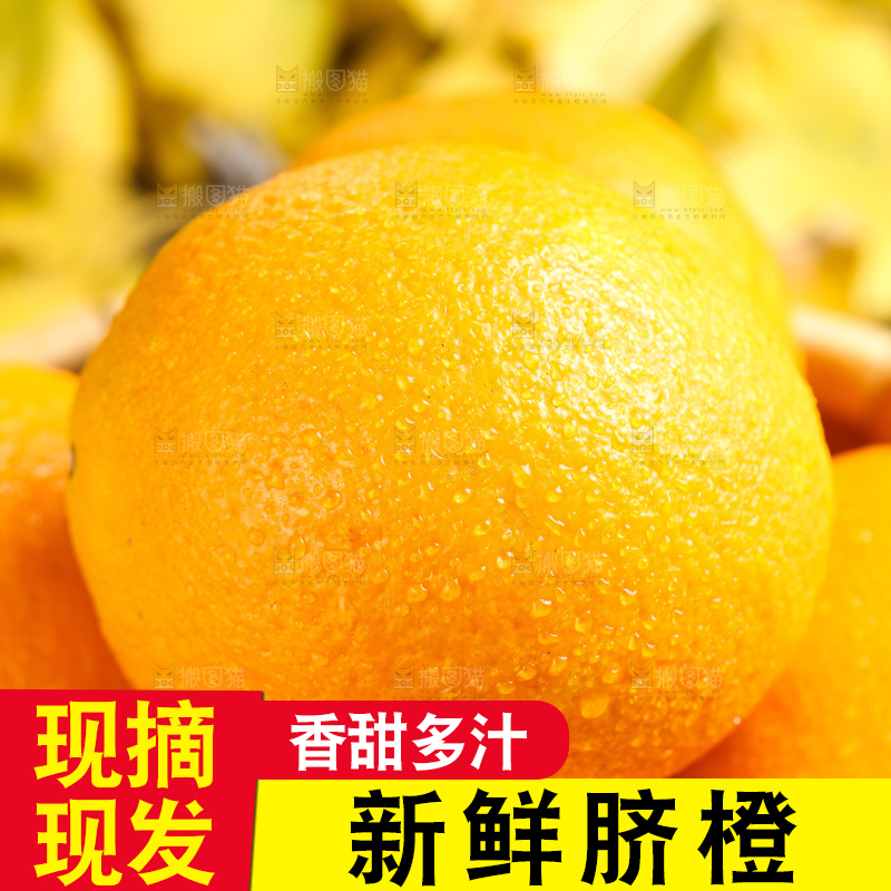 叶子上的新鲜脐橙