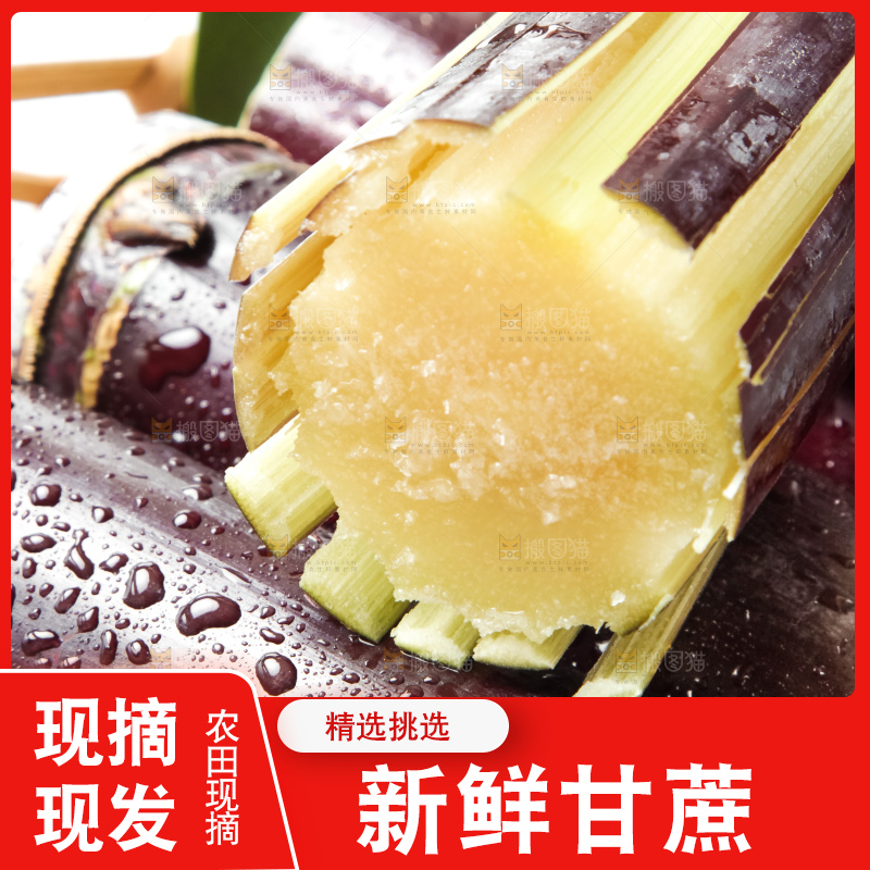 白底上放着甘蔗