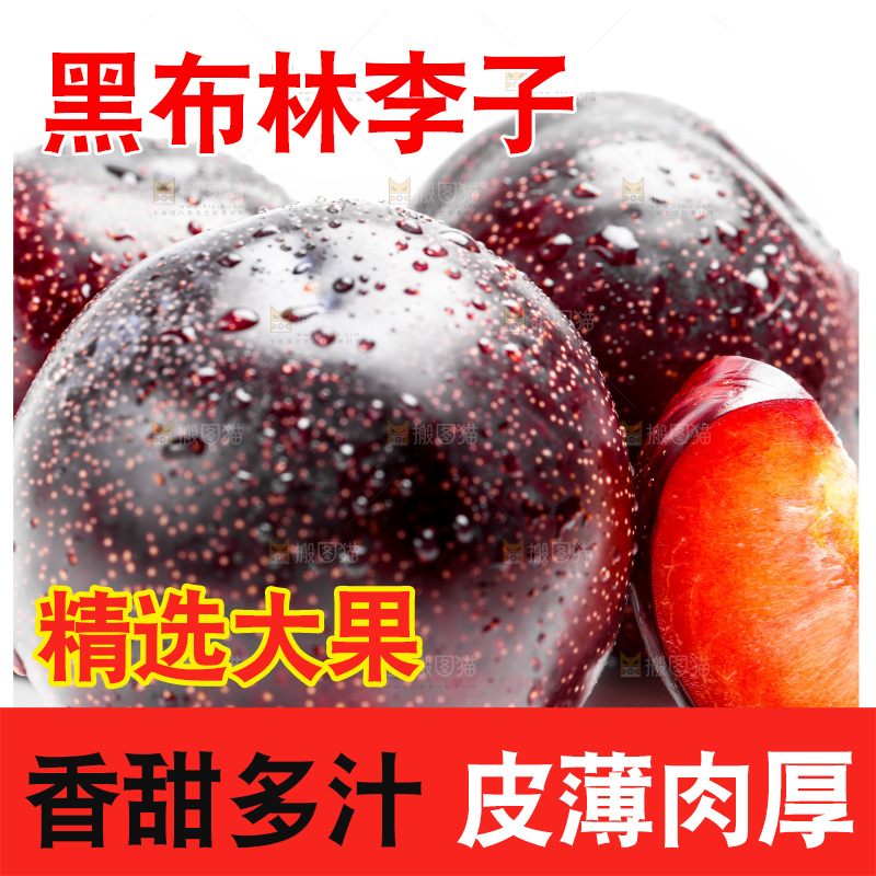 白底上的黑布林