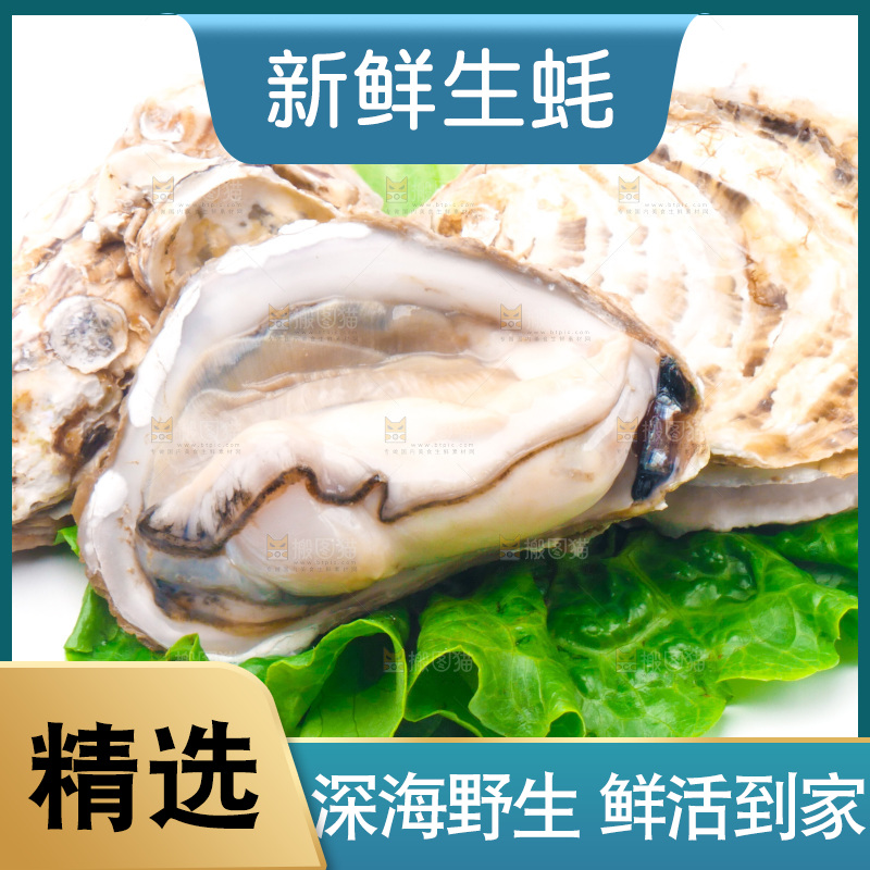 白底上放着乳山生蚝