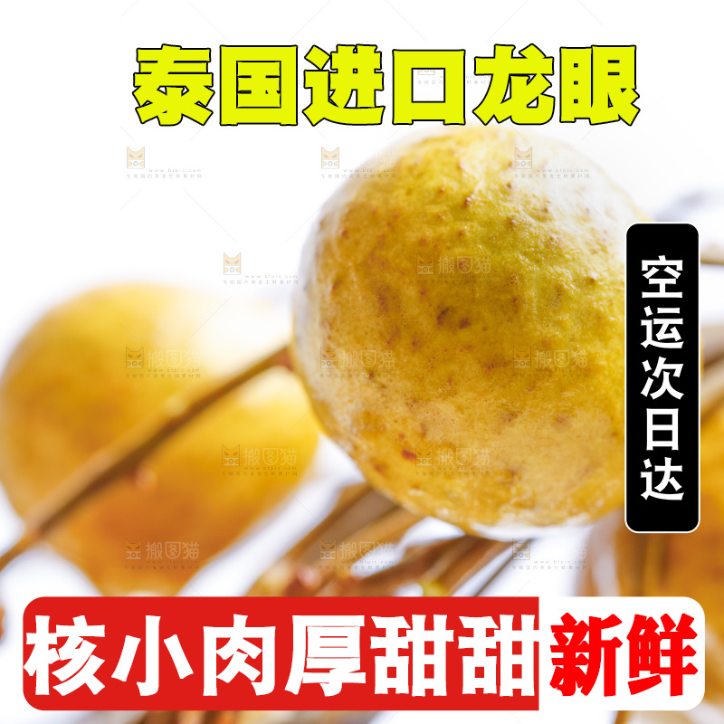 新鲜龙眼放在白底上