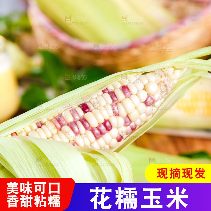木板上放着剥皮的花玉米