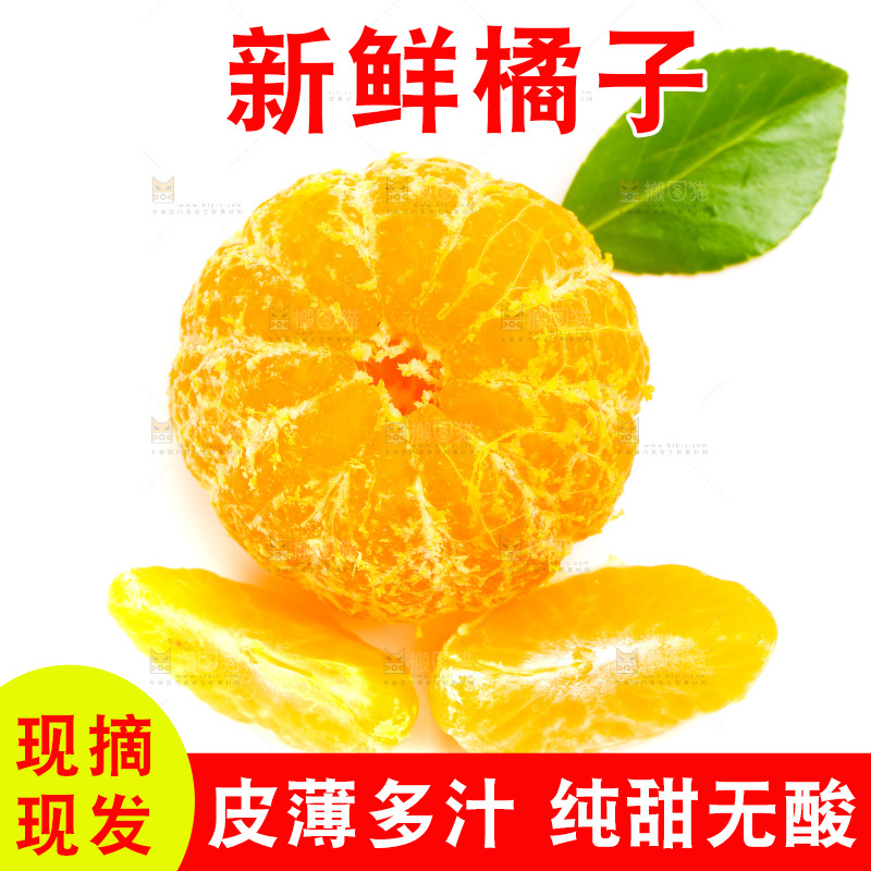 新鲜橘子放在白底上