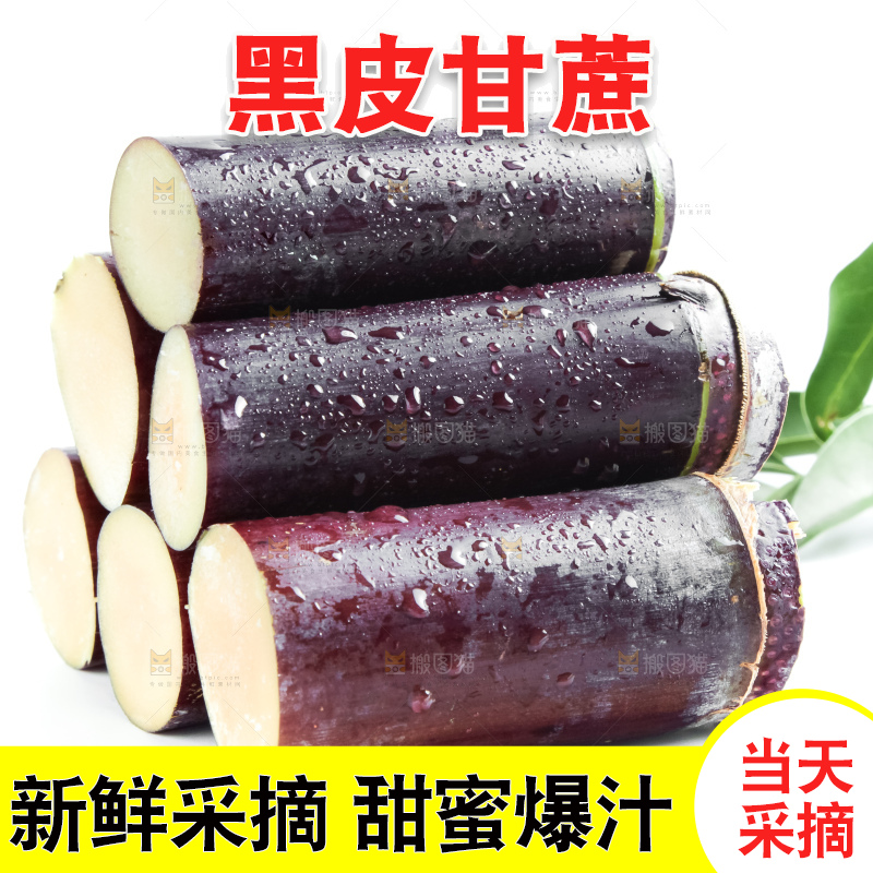 白底上放着甘蔗