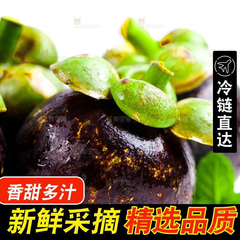 新鲜山竹放在白底上