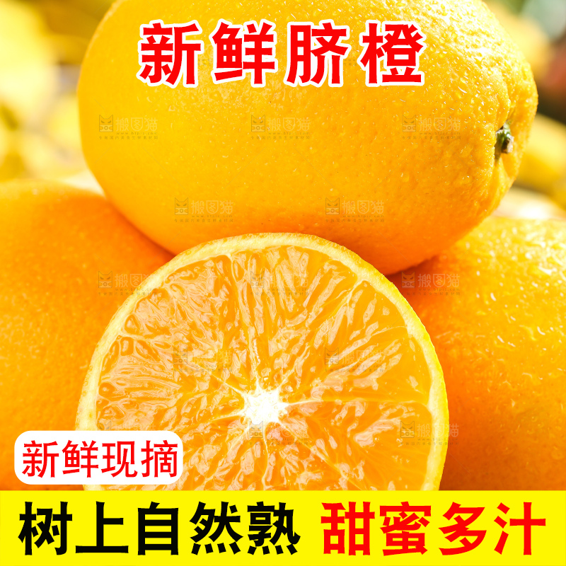 叶子上的新鲜脐橙