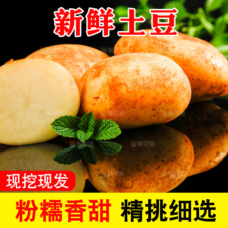 黑底上放着黄心土豆