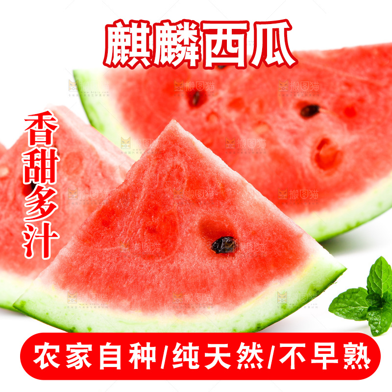 白底上放着8424麒麟瓜