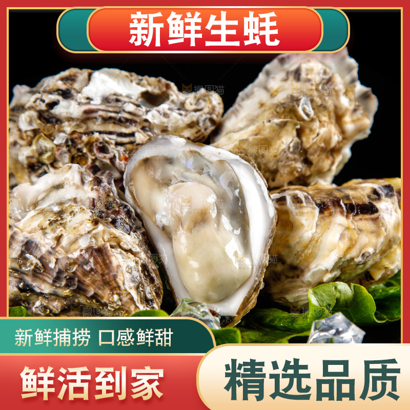 黑底上放着生蚝