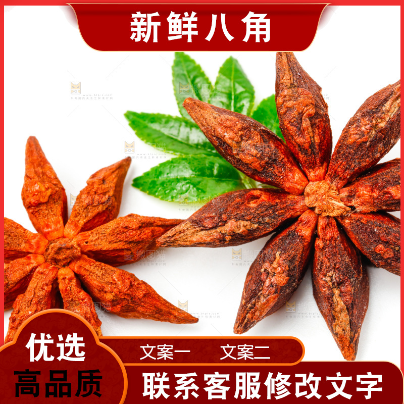 广西八角放在白底上