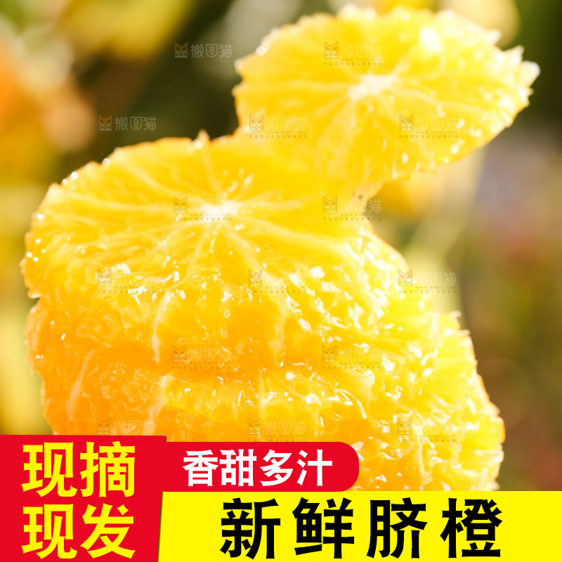 叶子上的新鲜脐橙
