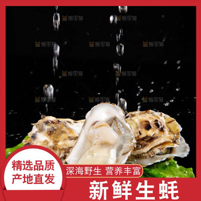 深底上放着牡蛎