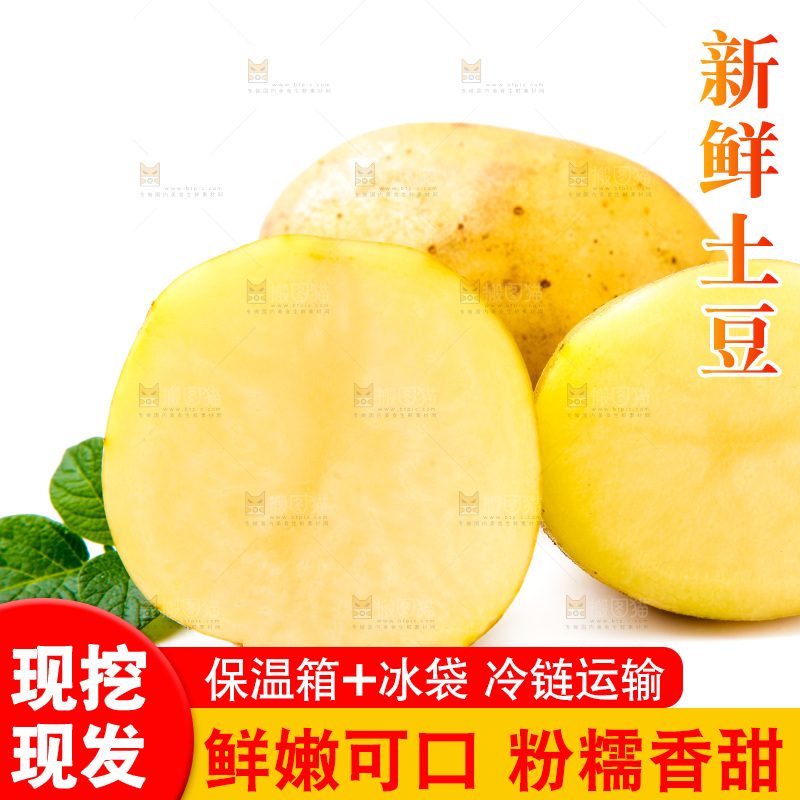 黄心土豆放在白底上