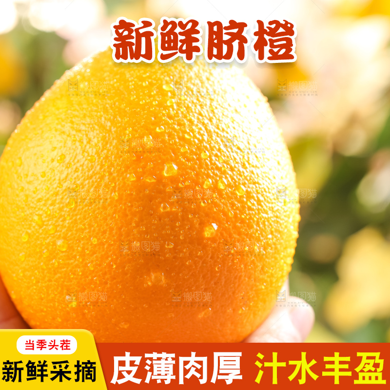 叶子上的新鲜脐橙