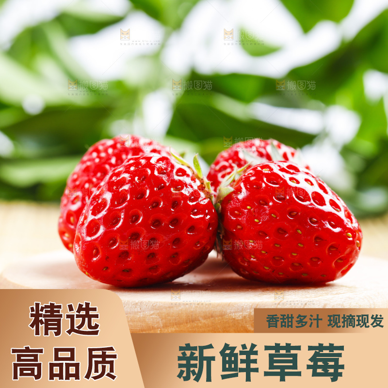 99草莓放在浅底上