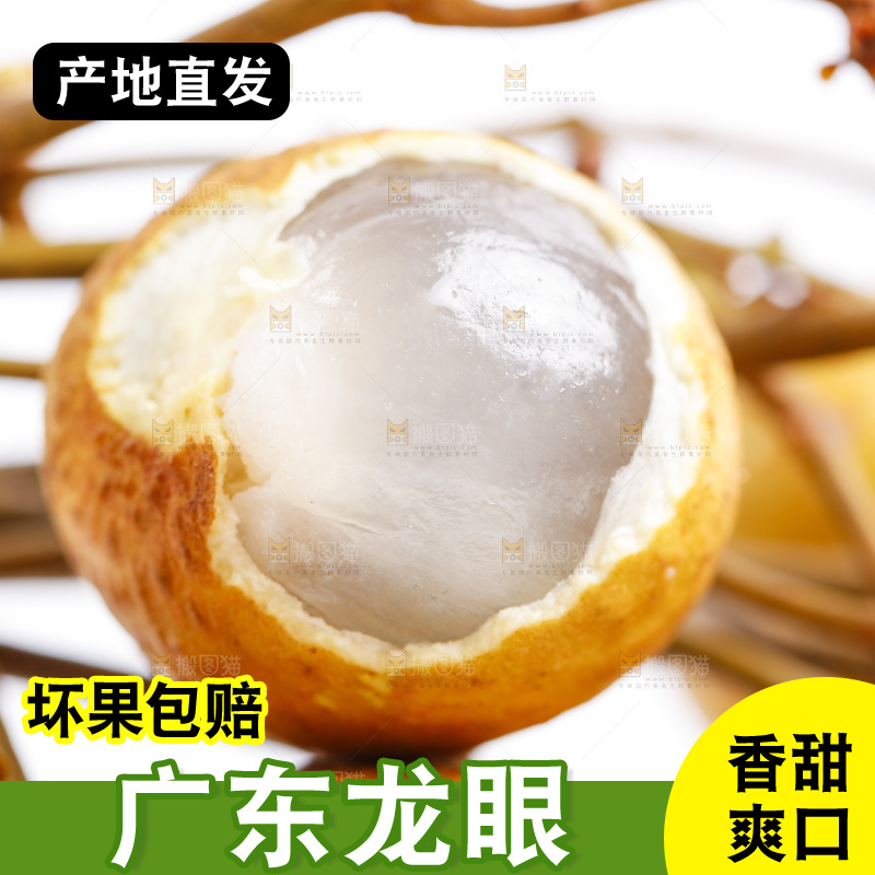 白底上的龙眼