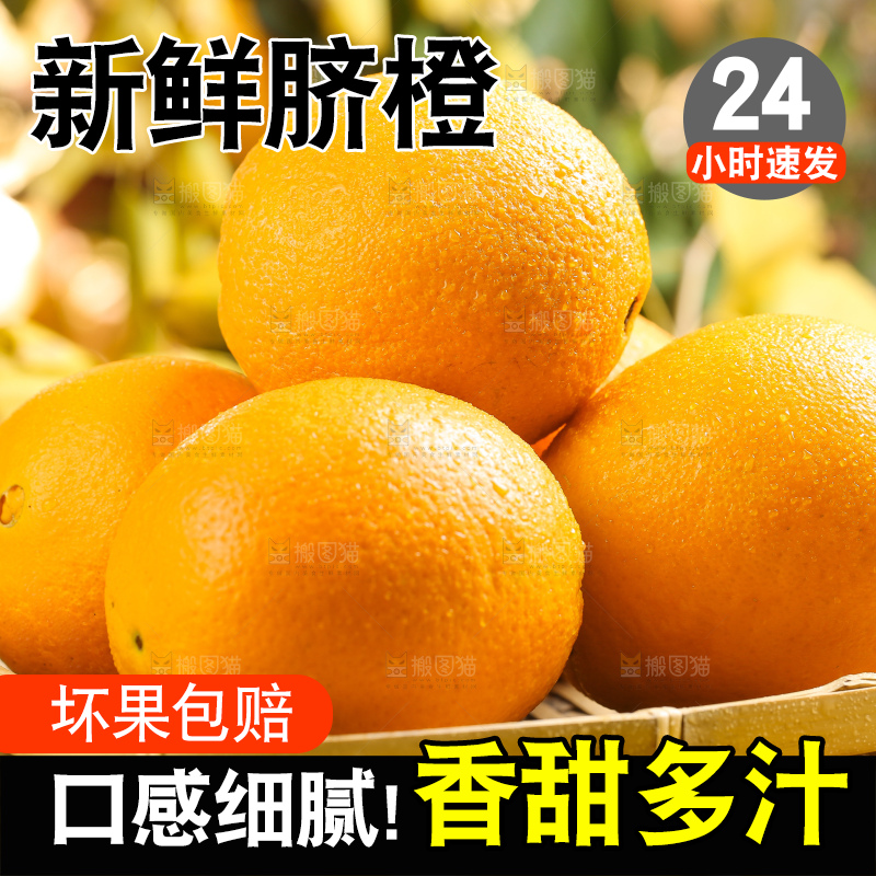 叶子上的新鲜脐橙