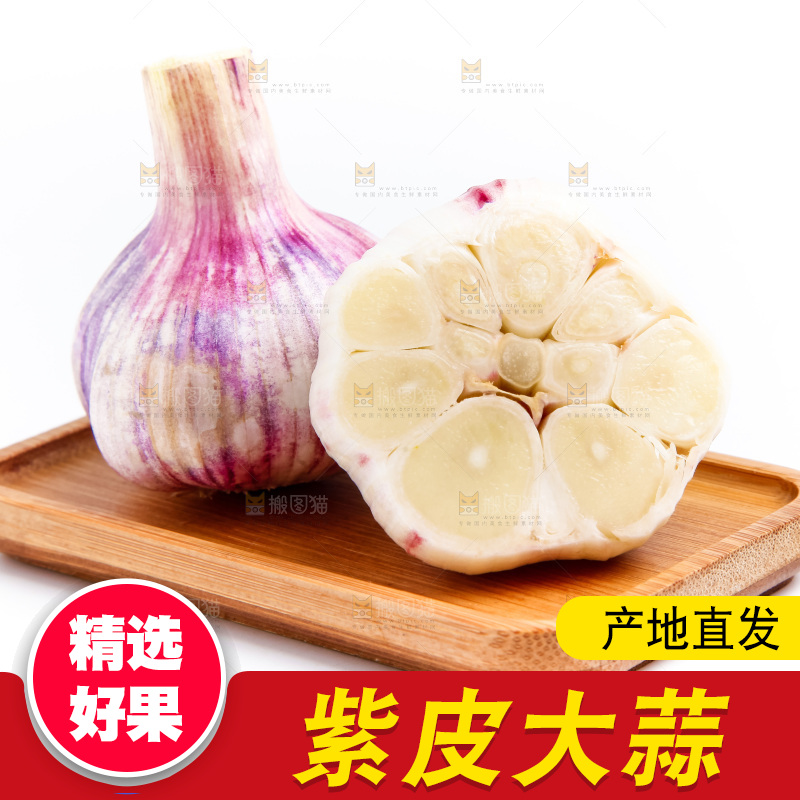紫皮大蒜放在白底上
