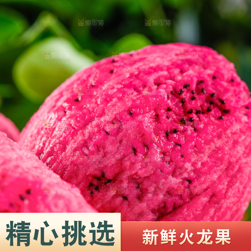 木底上放着海南红心火龙果