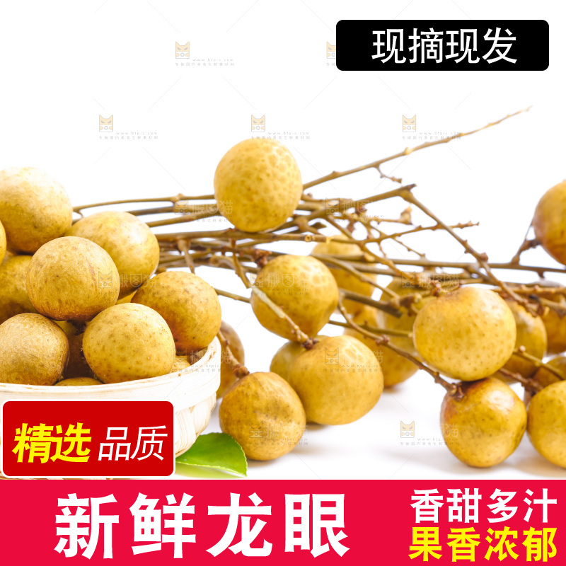 泰国龙眼放在白底上