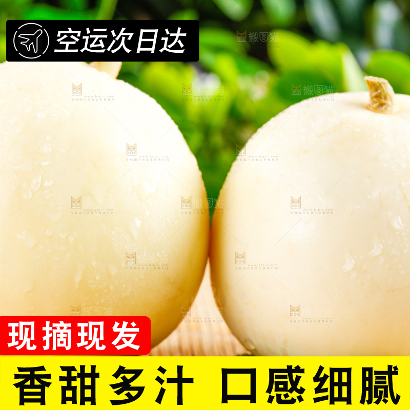 木底上放着陕西阎良甜瓜