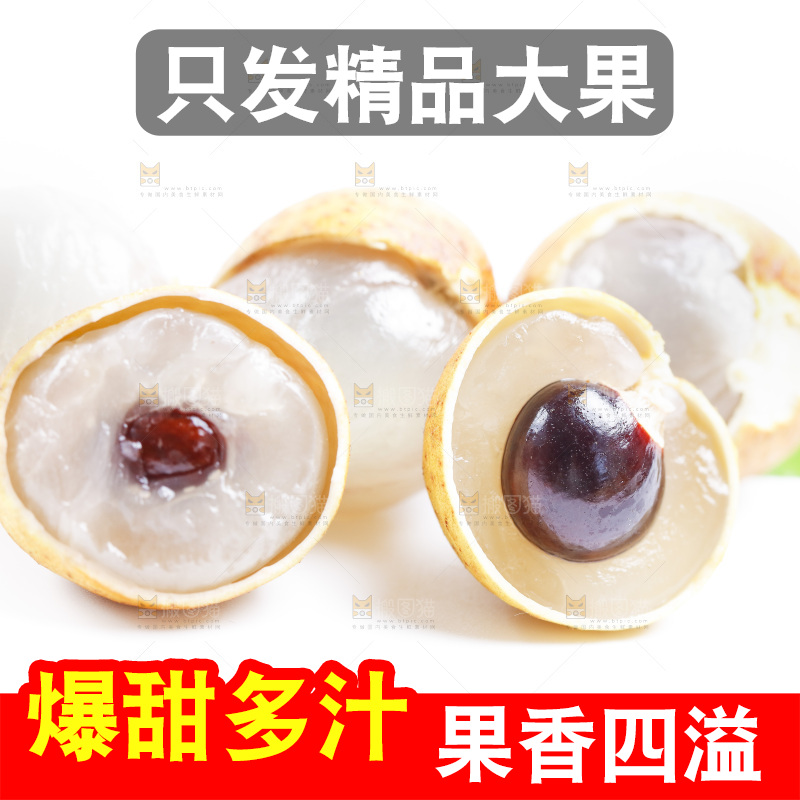 白底上的龙眼